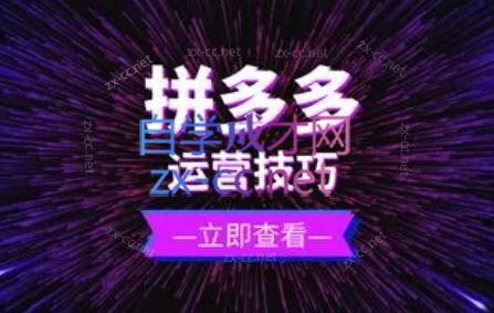 力辛电商·拼多多强付费店群玩法-云创网