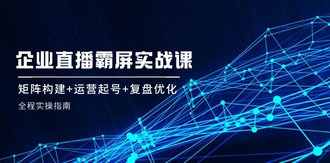 企业直播霸屏实战课：矩阵构建+运营起号+复盘优化，全程实操指南-云创网