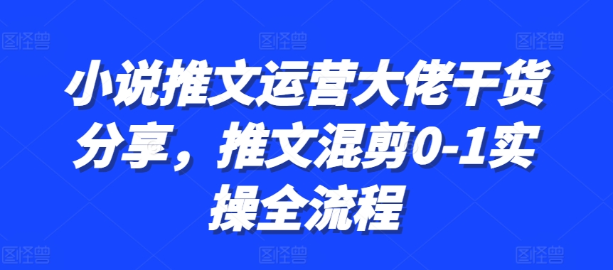小说推文运营大佬干货分享，推文混剪0-1实操全流程-云创网