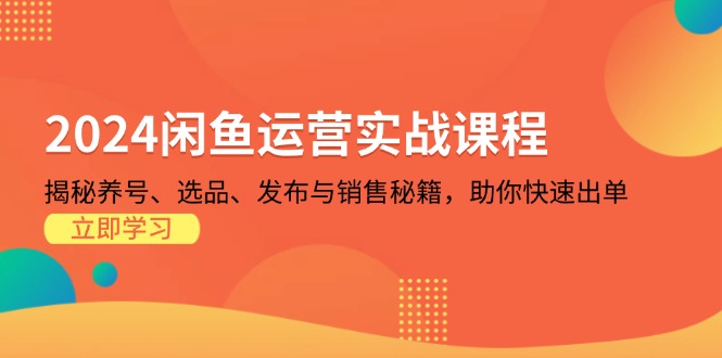 2024闲鱼运营实战课程：揭秘养号、选品、发布与销售秘籍，助你快速出单-云创网