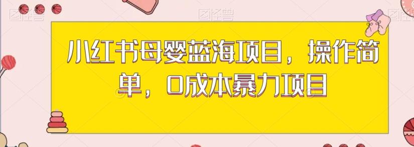 小红书母婴蓝海项目，操作简单，0成本暴力项目-云创网