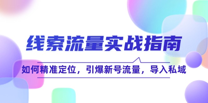 线 索 流 量-实战指南：如何精准定位，引爆新号流量，导入私域-云创网