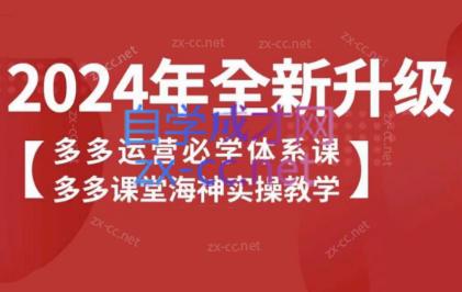 海神老师·拼多多运营必学体系课-云创网