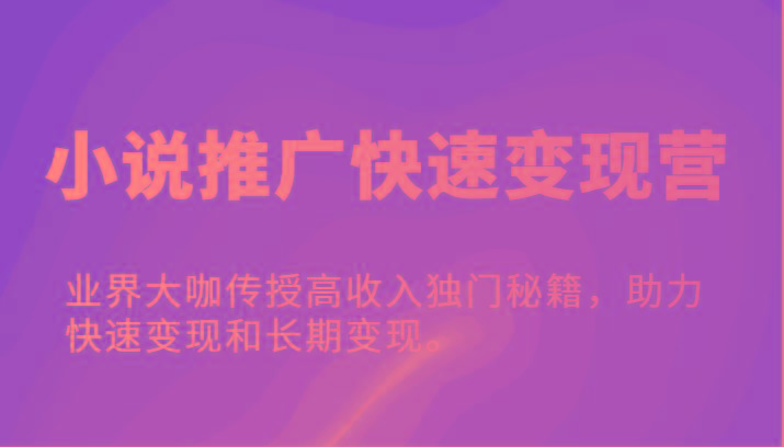 小说推广快速变现营-业界大咖传授高收入独门秘籍，助力快速变现和长期变现。-云创网