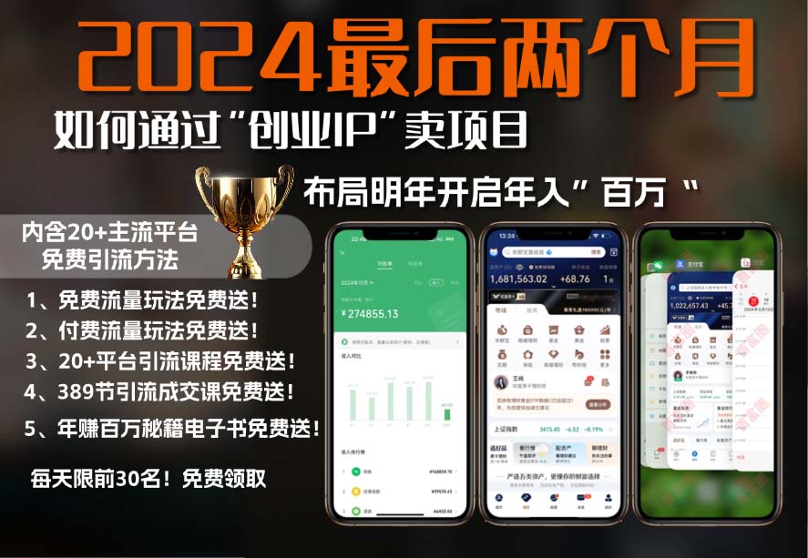 2024最后两个月如何通过”创业IP“卖项目年入”百万“,创业IP+最强引流...-云创网