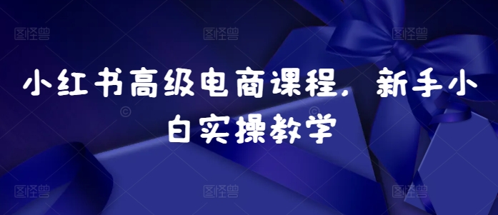 小红书高级电商课程，新手小白实操教学-云创网