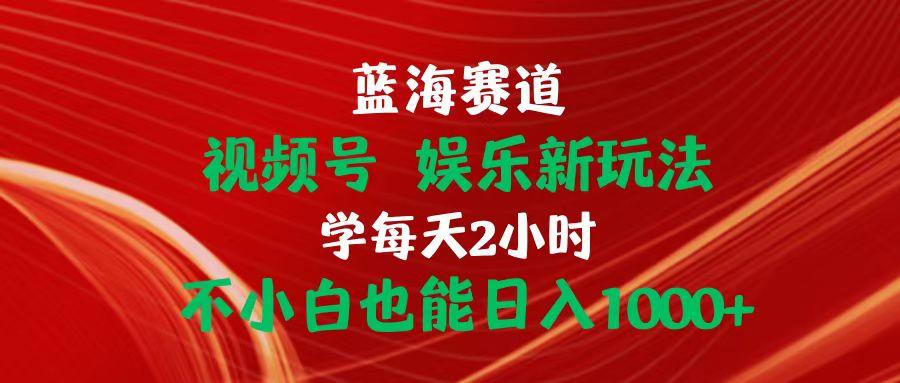 蓝海赛道视频号 娱乐新玩法每天2小时小白也能日入1000+-云创网