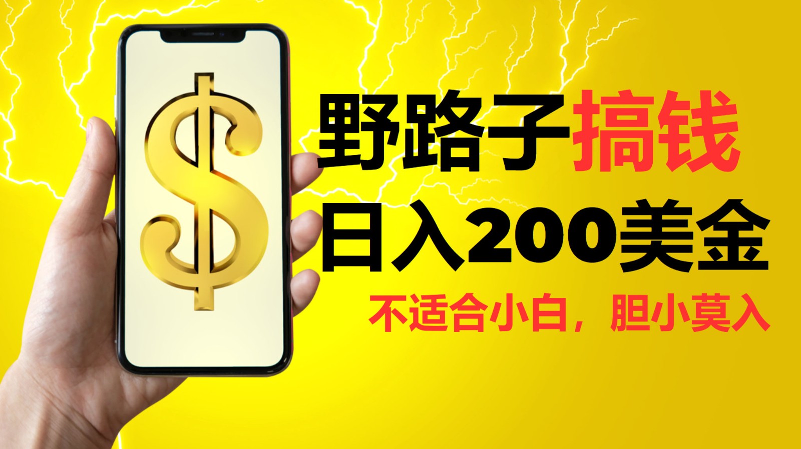 挂机野路子搞钱，日入200美金，路子很野，小白莫入-云创网