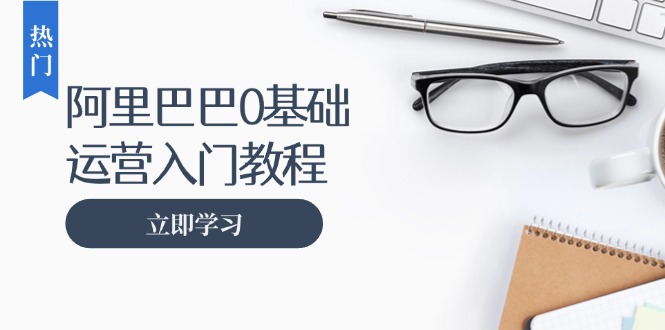 阿里巴巴运营零基础入门教程：涵盖开店、运营、推广，快速成为电商高手-云创网