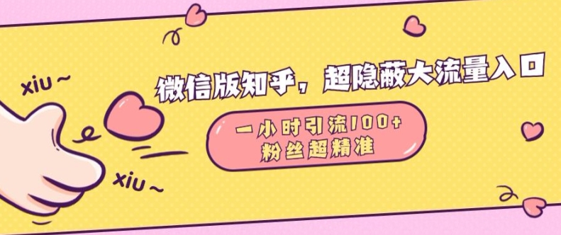 微信版知乎，超隐蔽流量入口1小时引流100人，粉丝质量超高【揭秘】-云创网