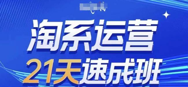 淘系运营21天速成班(更新24年7月)，0基础轻松搞定淘系运营，不做假把式-云创网