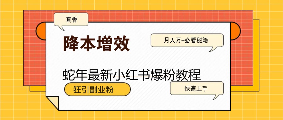 蛇年最新小红书爆粉教程，狂引副业粉，月入万+必看-云创网