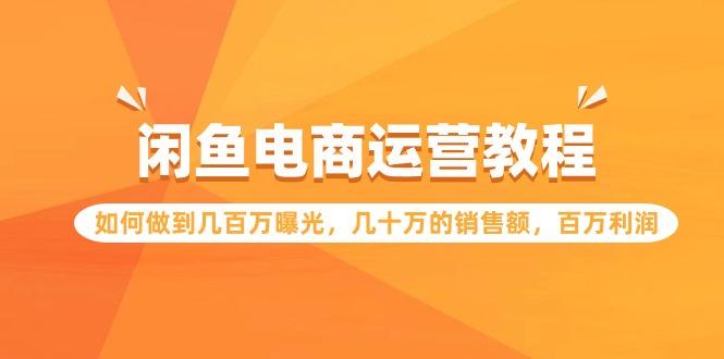 (9560期)闲鱼电商运营教程：如何做到几百万曝光，几十万的销售额，百万利润-云创网