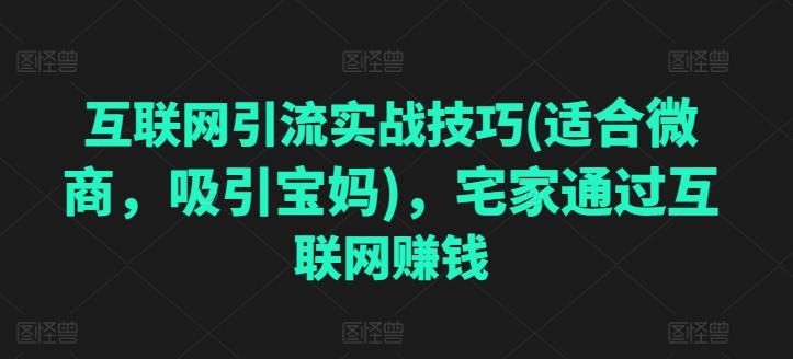 互联网引流实战技巧(适合微商，吸引宝妈)，宅家通过互联网赚钱-云创网