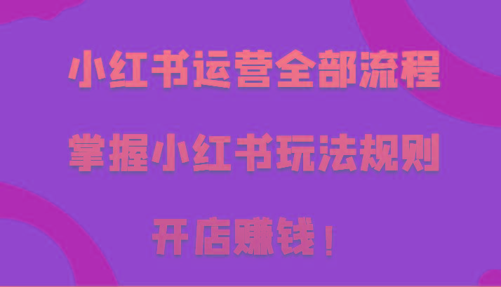 小红书运营全部流程，掌握小红书玩法规则，开店赚钱！-云创网