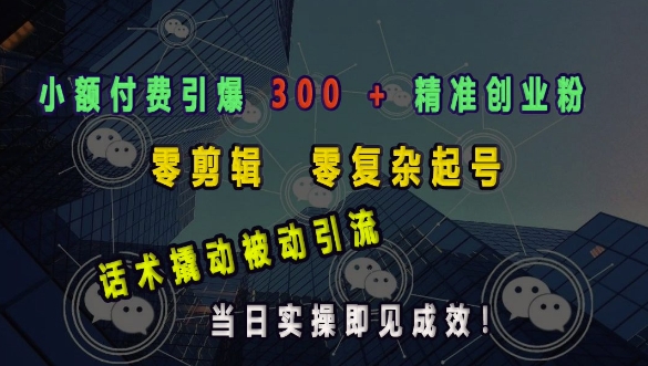小额付费引爆 300 + 精准创业粉，零剪辑、零复杂起号，话术撬动被动引流，当日实操即见成效-云创网