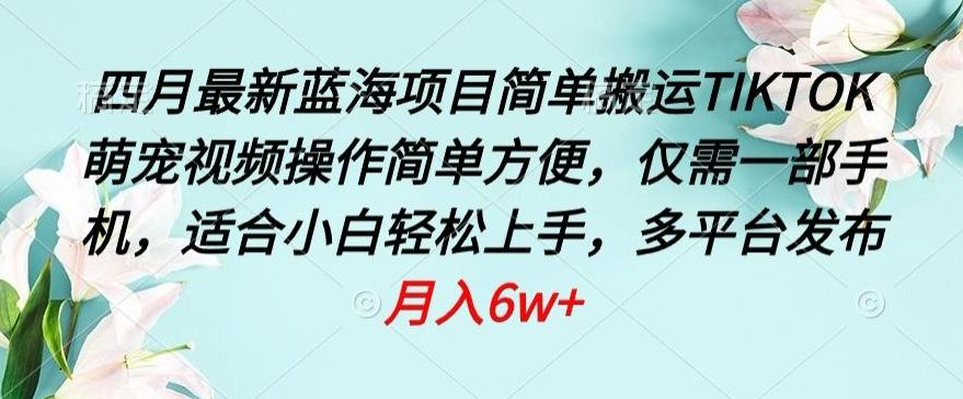 四月最新蓝海项目，简单搬运TIKTOK萌宠视频，操作简单方便，仅需一部手机【揭秘】-云创网