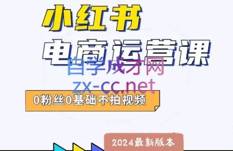 达哥·小红书电商运营(2024版)-云创网