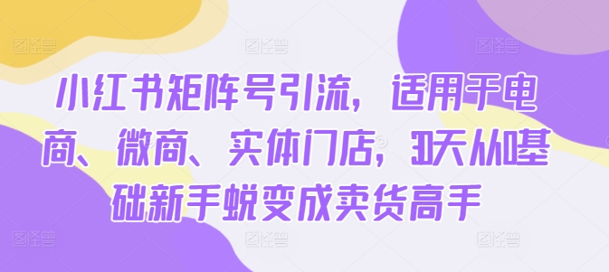 小红书矩阵号引流，适用于电商、微商、实体门店，30天从0基础新手蜕变成卖货高手-云创网