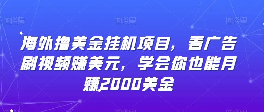 海外撸美金挂机项目，看广告刷视频赚美元，学会你也能月赚2000美金-云创网