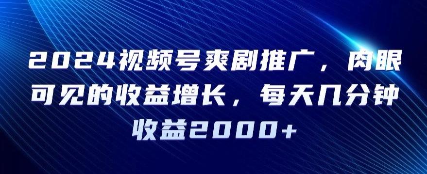 2024视频号爽剧推广，肉眼可见的收益增长，每天几分钟收益2000+【揭秘】-云创网