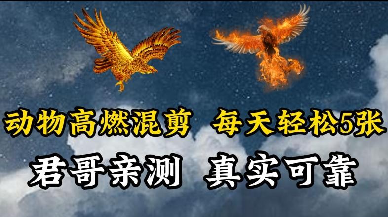 动物超燃混剪，每天轻松5张，剪辑简单大家爱看【揭秘】-云创网