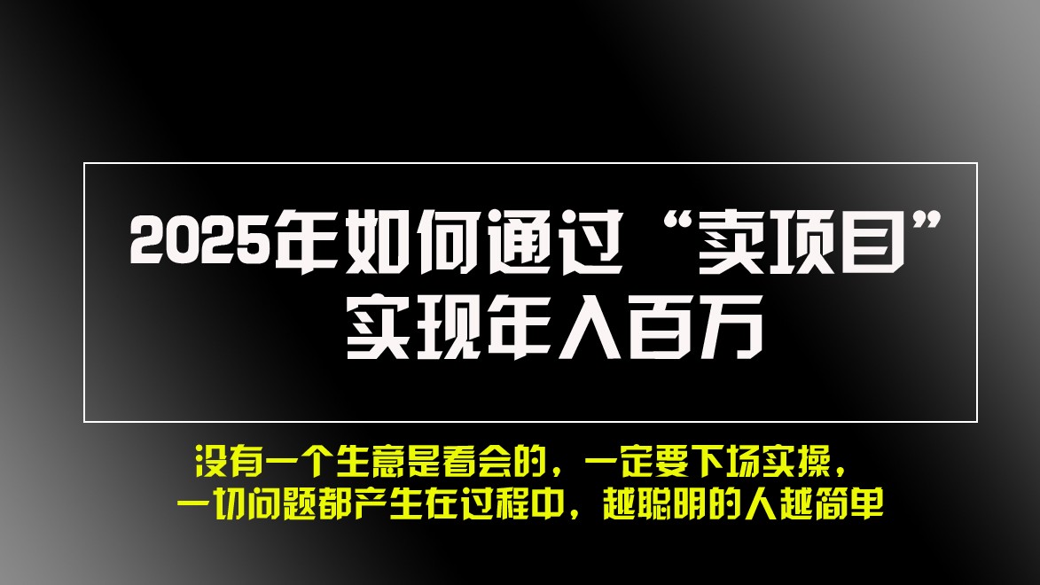 2025年如何通过“卖项目”实现年入百万-云创网