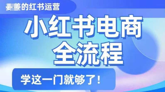小红书电商全流程，精简易懂，从入门到精通，学这一门就够了-云创网