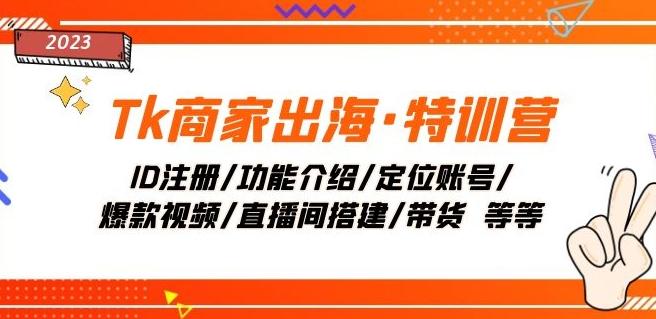 Tk商家出海·特训营：ID注册/功能介绍/定位账号/爆款视频/直播间搭建/带货-云创网