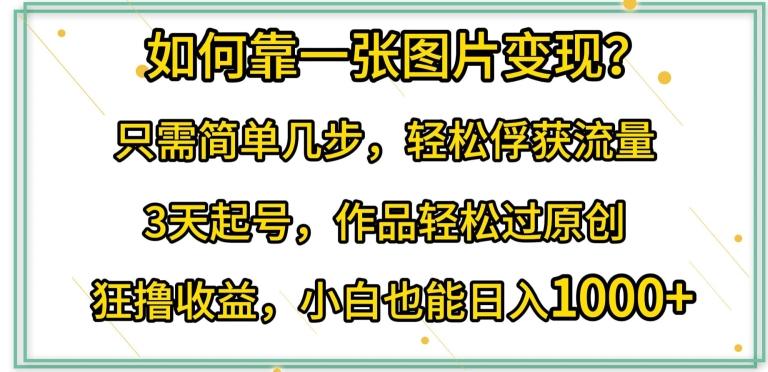 如何靠一张图片变现?只需简单几步，轻松俘获流量，3天起号，作品轻松过原创【揭秘】-云创网